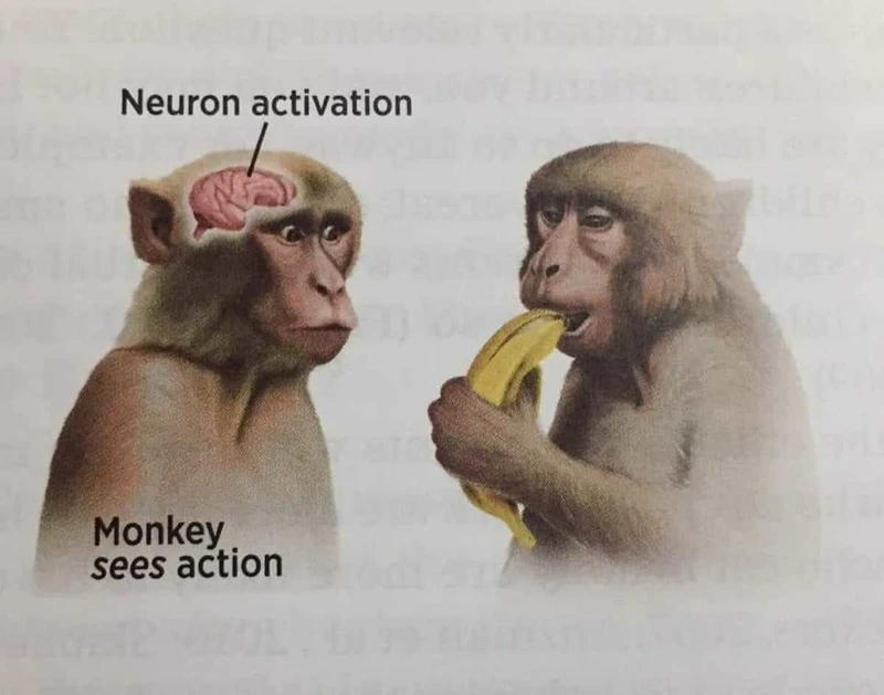 Neural networks